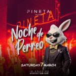 Noche De Perreo Pineta Milano