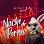 Noche De Perreo Pineta Milano