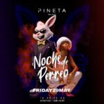 Noche De Perreo Pineta Milano